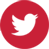 ico-twitter